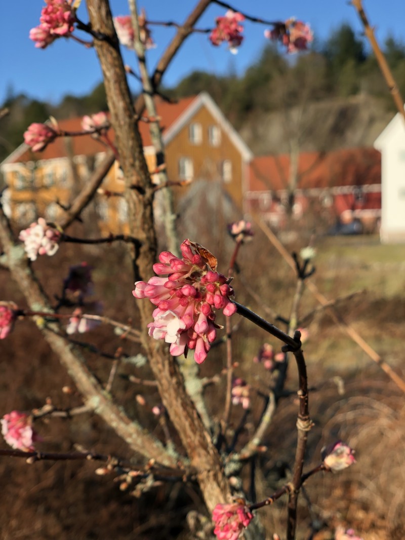 Bilde til saken KULTURSØNDAG // UTSTILLINGSÅPNING